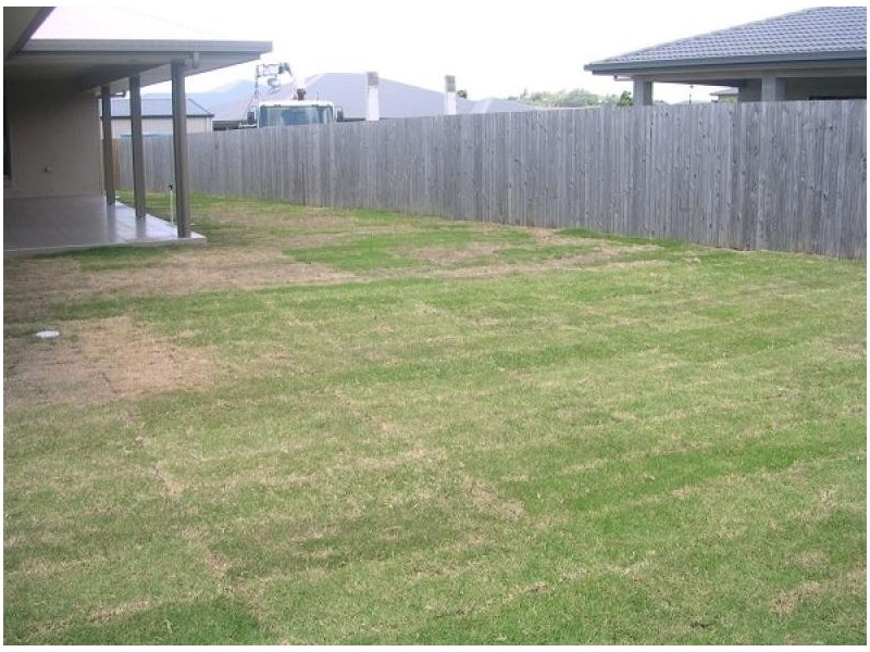 11 Bonsai Court, Glenella QLD 4740