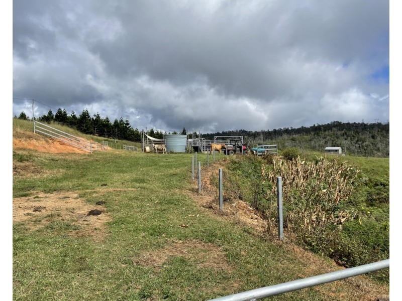 189 Cathay Creek Road, Crediton QLD 4757