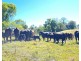 189 Cathay Creek Road, Crediton QLD 4757