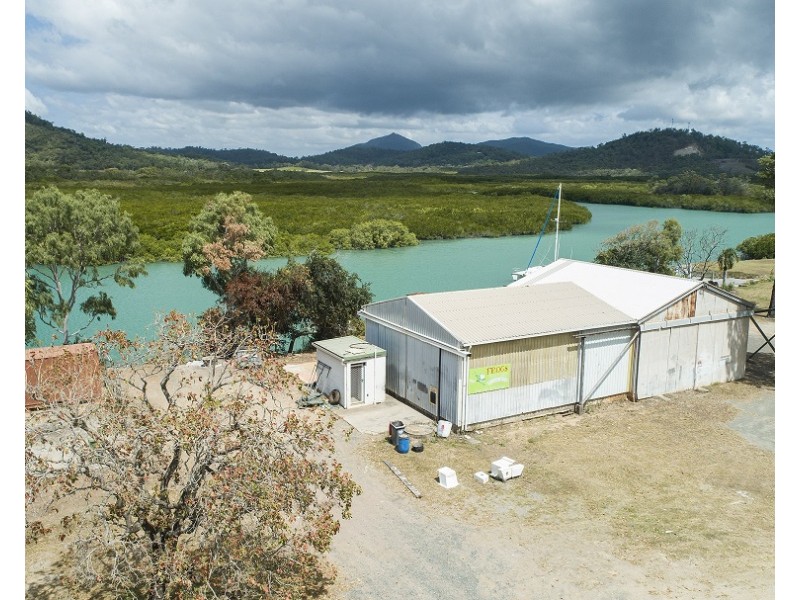 L409 Poinciana Avenue, Seaforth QLD 4741