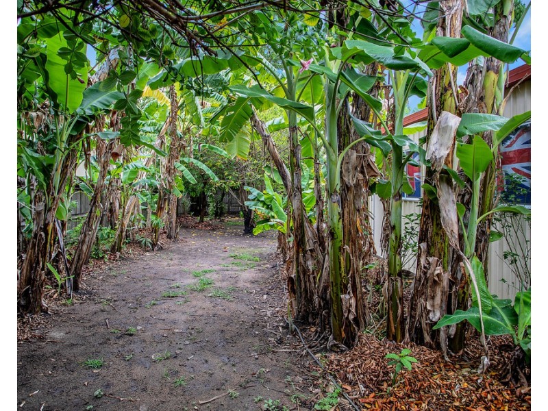 2 Drew Street, Finch Hatton QLD 4756