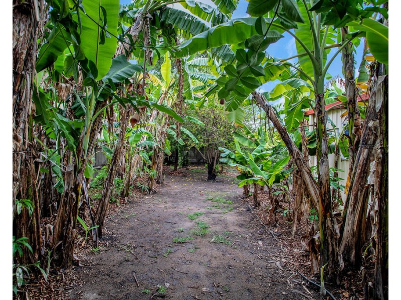 2 Drew Street, Finch Hatton QLD 4756