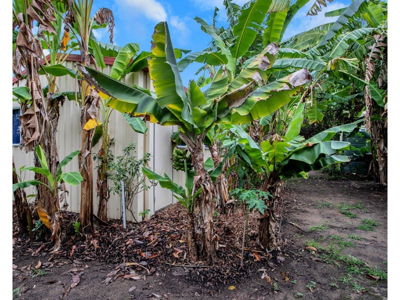 2 Drew Street, Finch Hatton QLD 4756