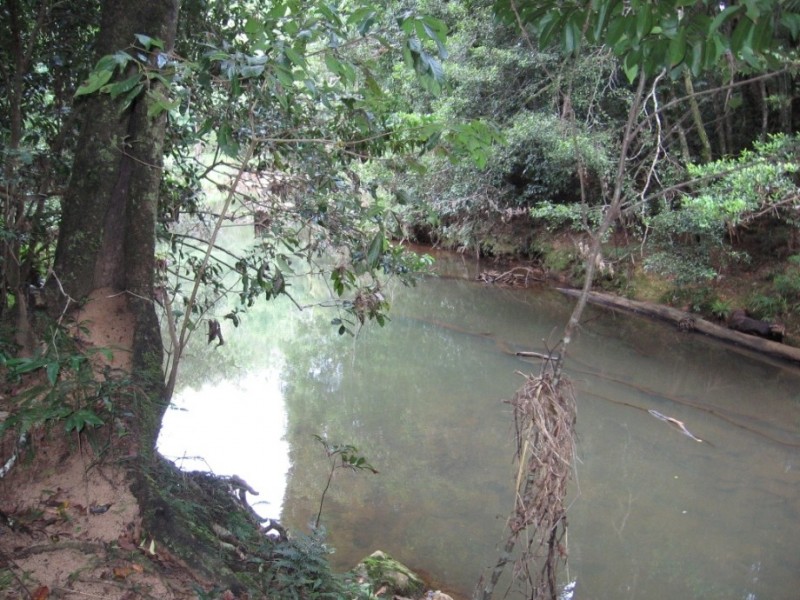 26 Cathay Creek Road, Eungella QLD 4757