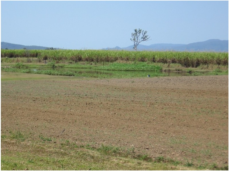 61 Allandale Road, Marian QLD 4753