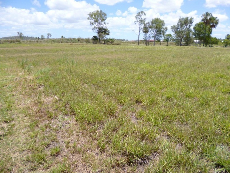 21 Pugsley Street, Walkerston QLD 4751