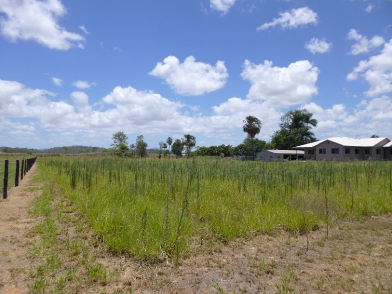 21 Pugsley Street, Walkerston QLD 4751