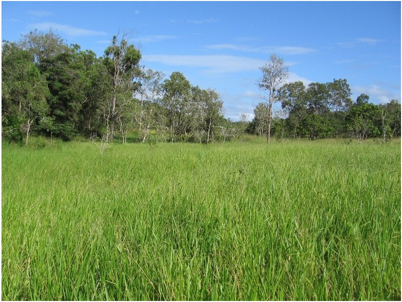 392 Price Road, Koumala QLD 4738