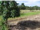 392 Price Road, Koumala QLD 4738