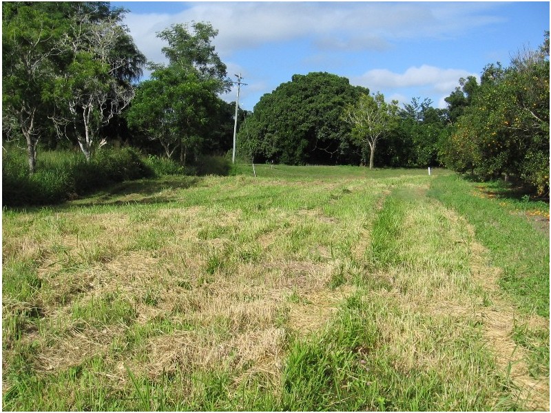 392 Price Road, Koumala QLD 4738