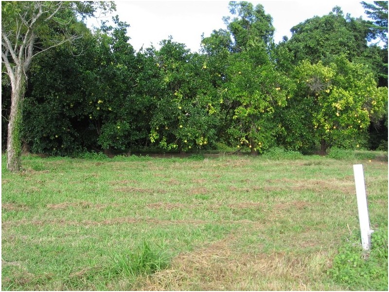 392 Price Road, Koumala QLD 4738