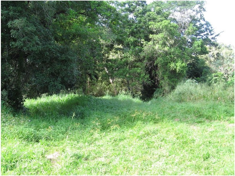 392 Price Road, Koumala QLD 4738