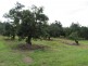 392 Price Road, Koumala QLD 4738