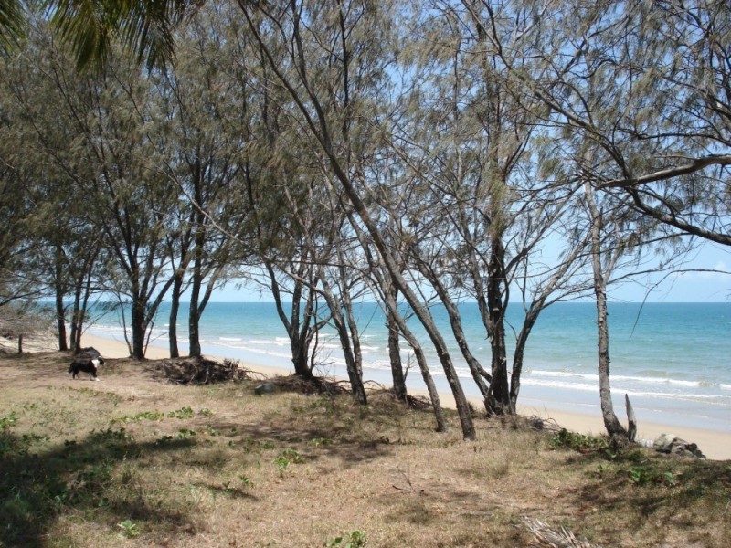 23 Whitesan Blue Tce, Blacks Beach QLD 4740