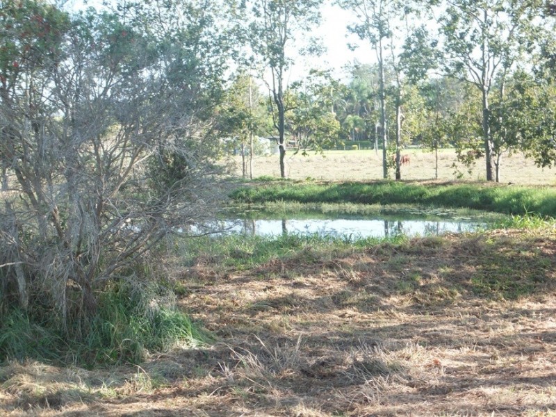 71 Ritchies Rd, Pleystowe QLD 4741