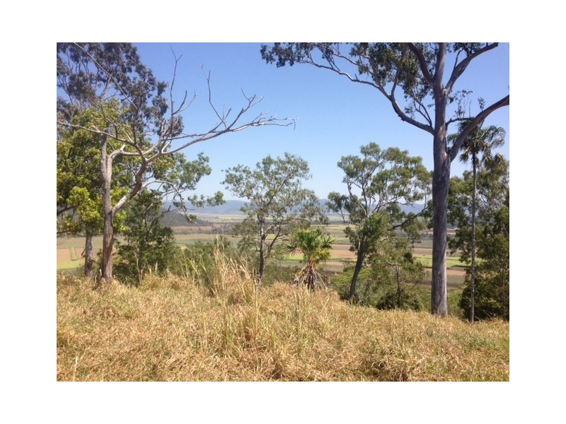 133 Garrett Road, Alligator Creek QLD 4740