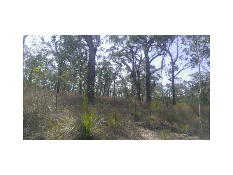 Lot 8 Greenhill Access Road, Ilbilbie QLD 4738