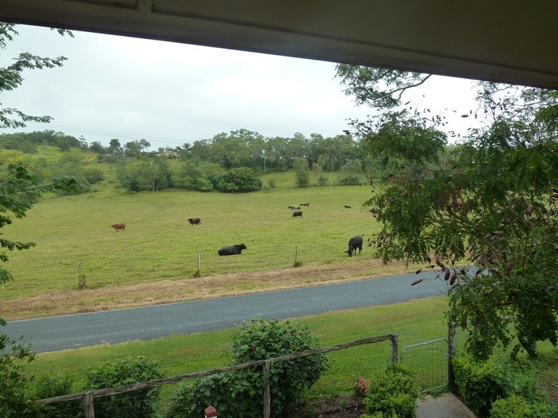 263 Le Gardes Road, Habana QLD 4740