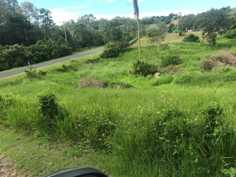 163 Gardiners Road, Habana QLD 4740