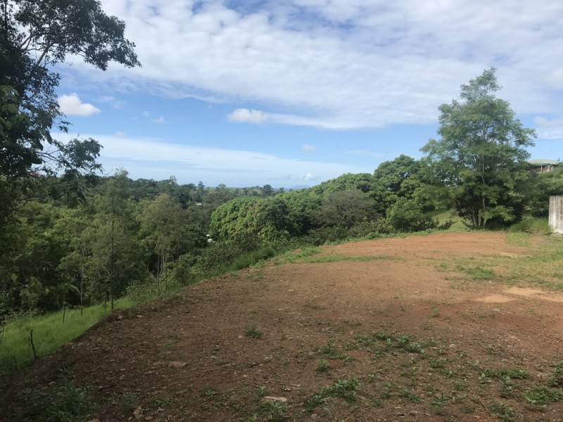163 Gardiners Road, Habana QLD 4740