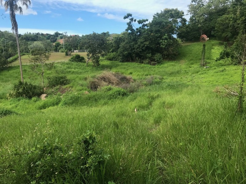 163 Gardiners Road, Habana QLD 4740