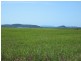 121 Borg’s Access Rd, Seaforth QLD 4741