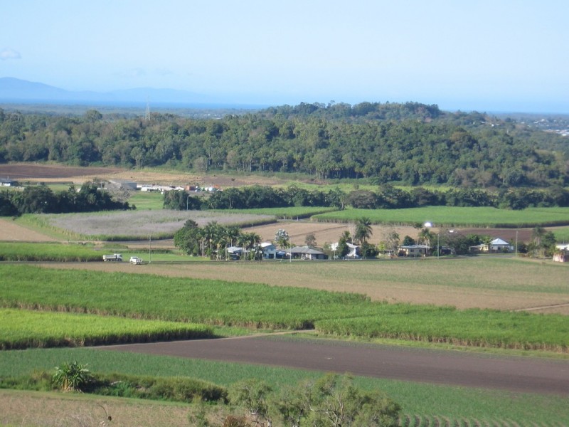 39 Ridgewood Drive, Farleigh QLD 4741