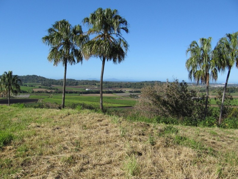 39 Ridgewood Drive, Farleigh QLD 4741