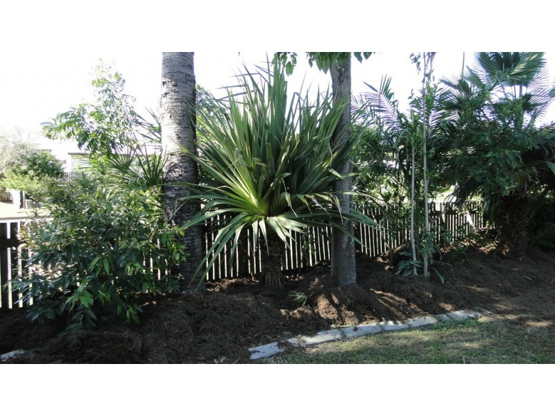 15 Jorgensen Street, Bakers Creek QLD 4740