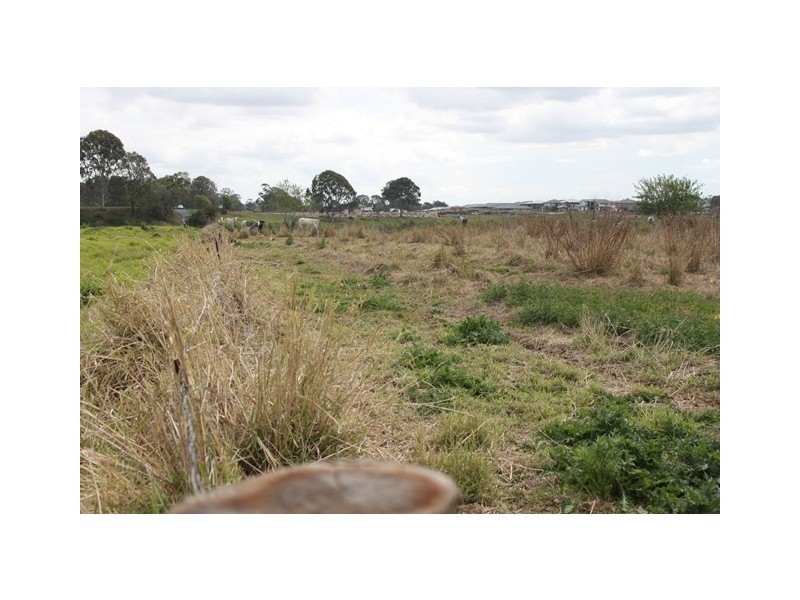 Bethania QLD 4205