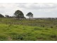 Bethania QLD 4205