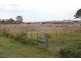 Bethania QLD 4205