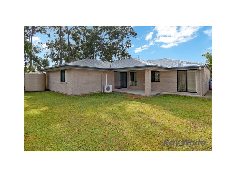 6 Hazelnut Ct, Loganlea QLD 4131