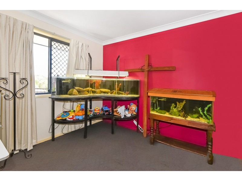 42 Rivervista Court, Eagleby QLD 4207