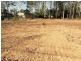 Loganlea QLD 4131