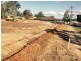 Loganlea QLD 4131
