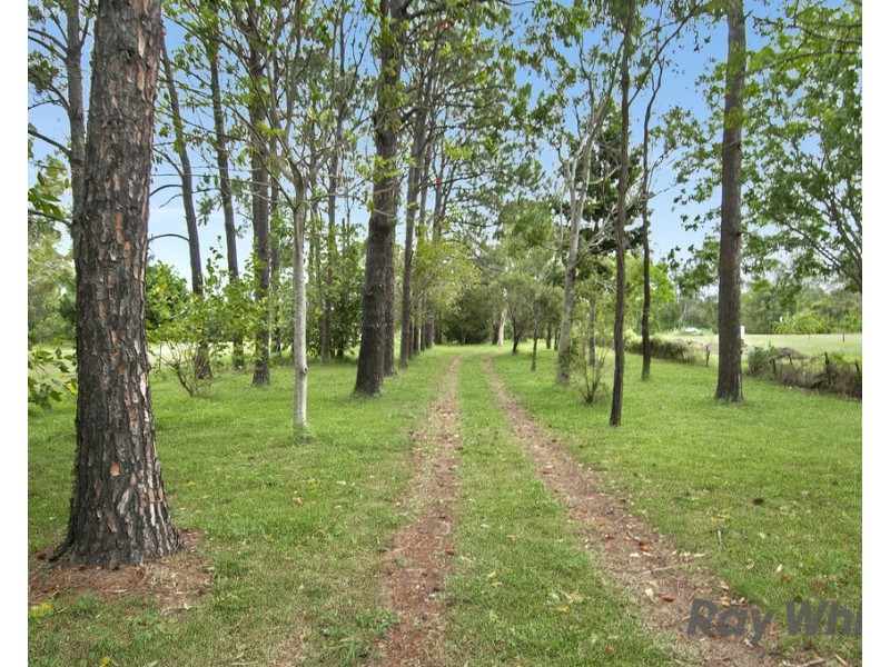 101 Tygum Road, Waterford West QLD 4133