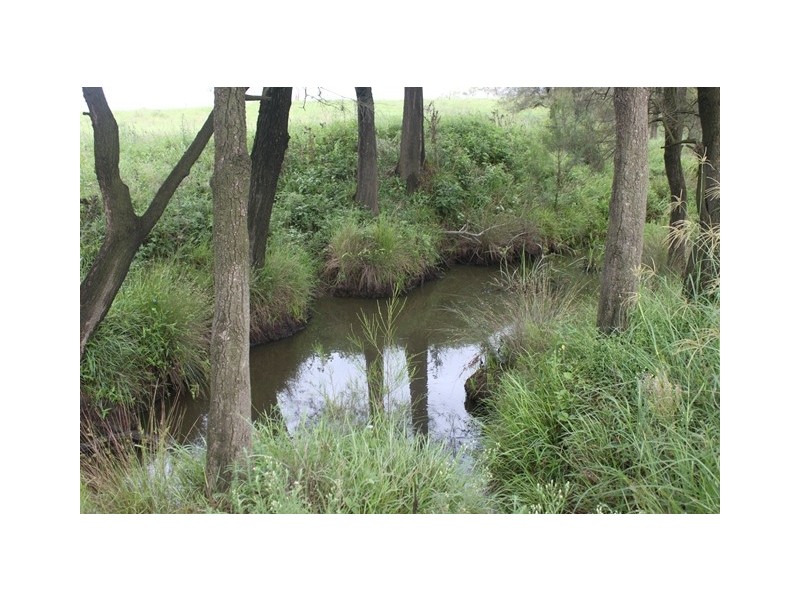 861-921 Waterford Tamborine Rd, Buccan QLD 4207