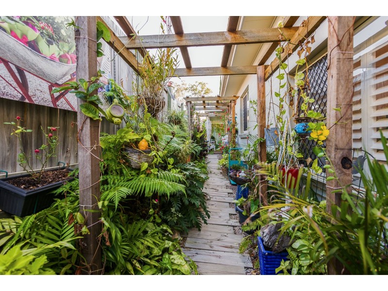 7 Carnarvon Cres, Waterford QLD 4133