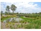 11 Copal Drive, Logan Reserve QLD 4133