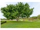 161 Bahrs Scrub Rd, Bahrs Scrub QLD 4207