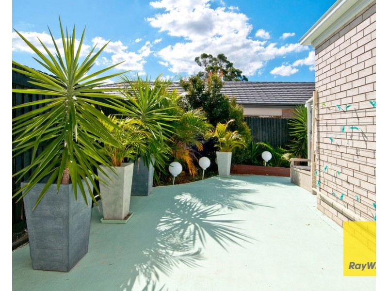 Logan Reserve QLD 4133