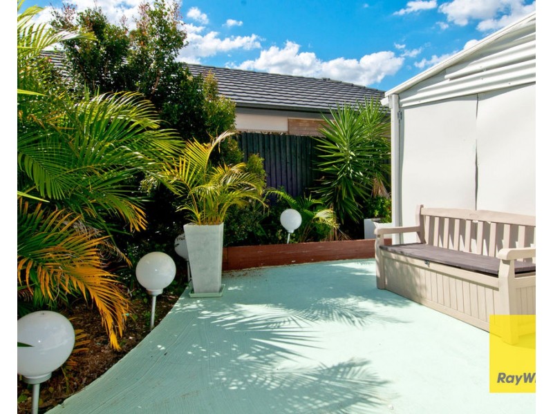 Logan Reserve QLD 4133