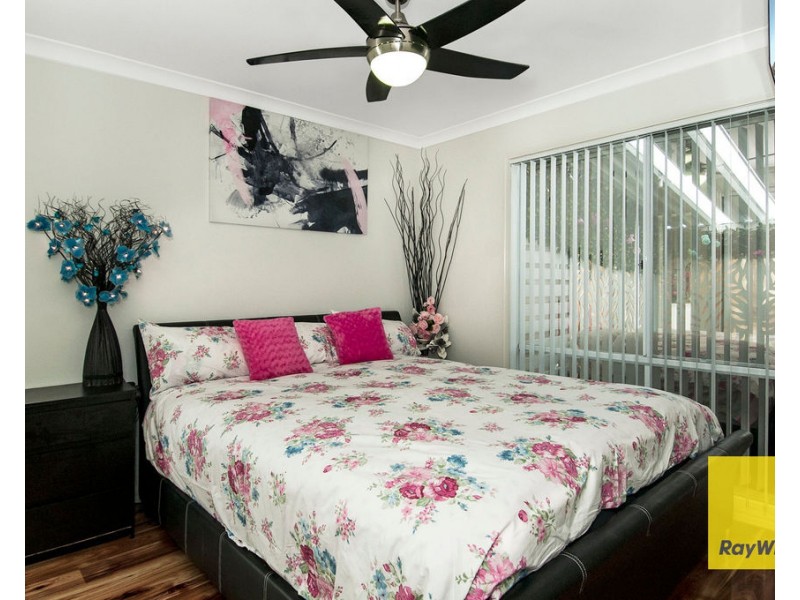 Logan Reserve QLD 4133