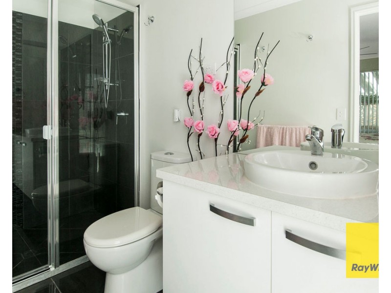 Logan Reserve QLD 4133