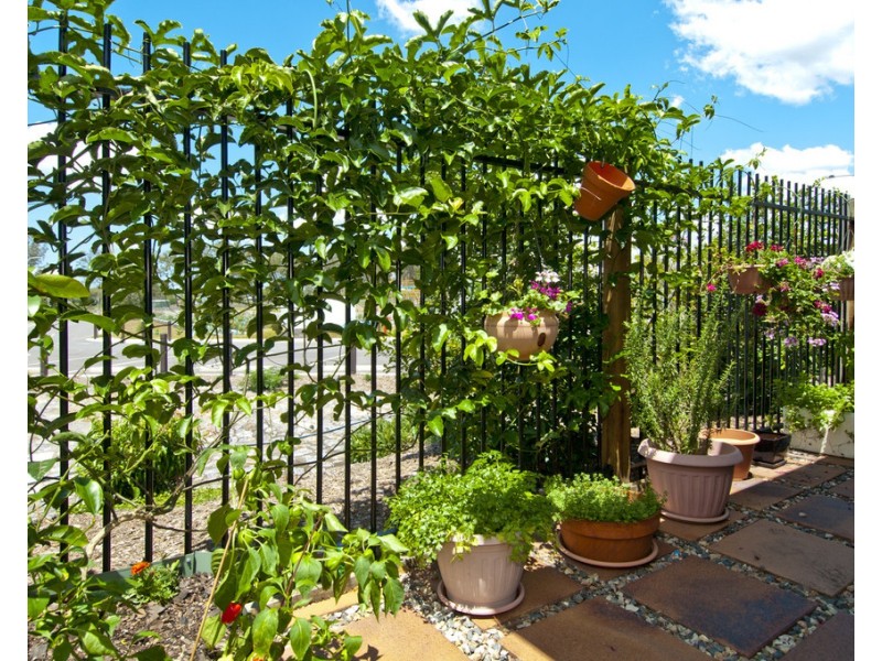 Villa 9 Radke Rd (Ingenia), Bethania QLD 4205