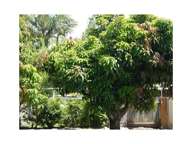 Marsden QLD 4132