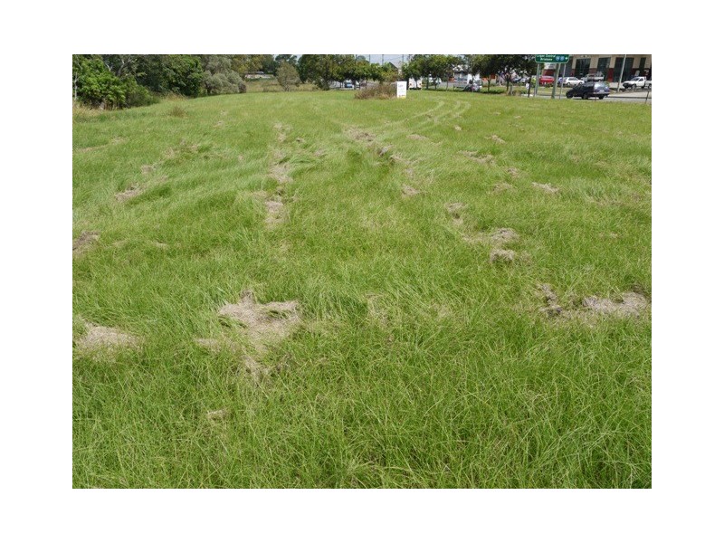 Waterford QLD 4133
