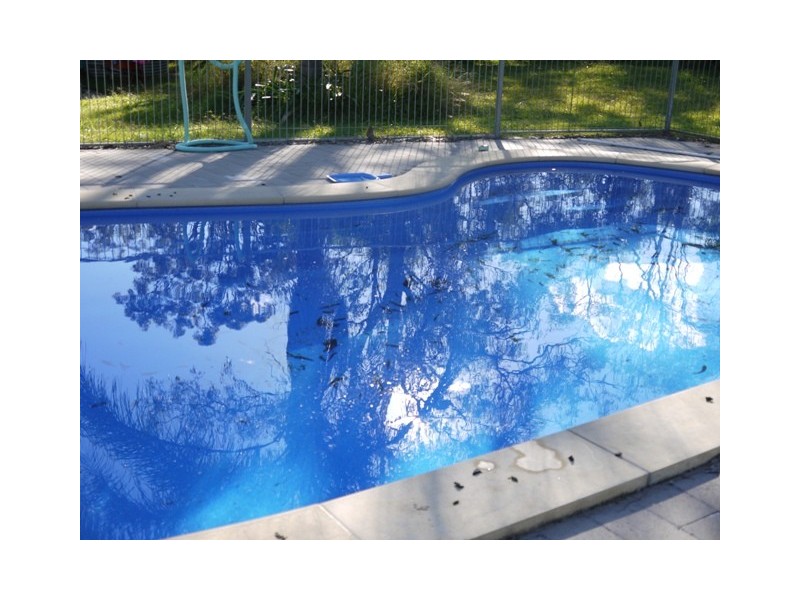 Logan Reserve QLD 4133