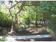 Loganlea QLD 4131